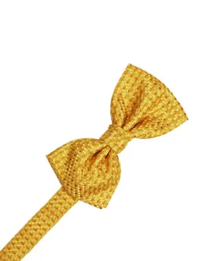 Gold Venetian Kids Bow Tie