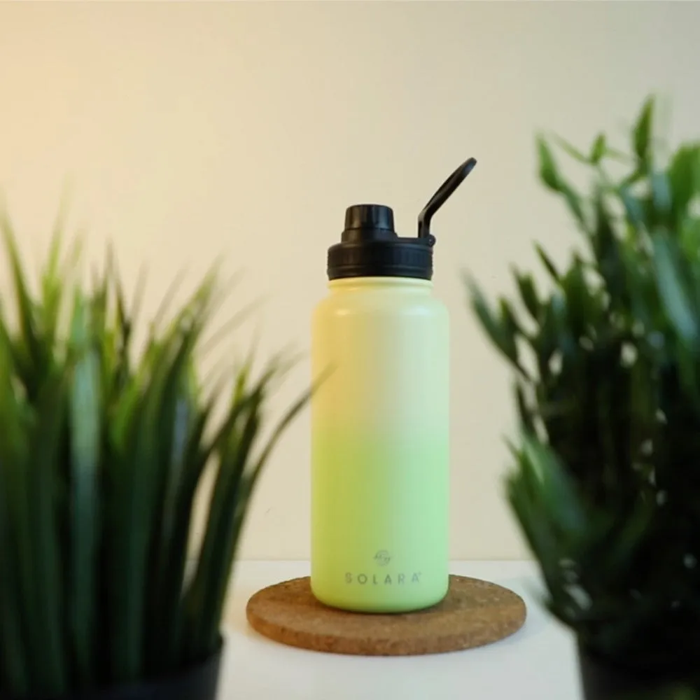 Insulated Water Bottle (2 Caps)