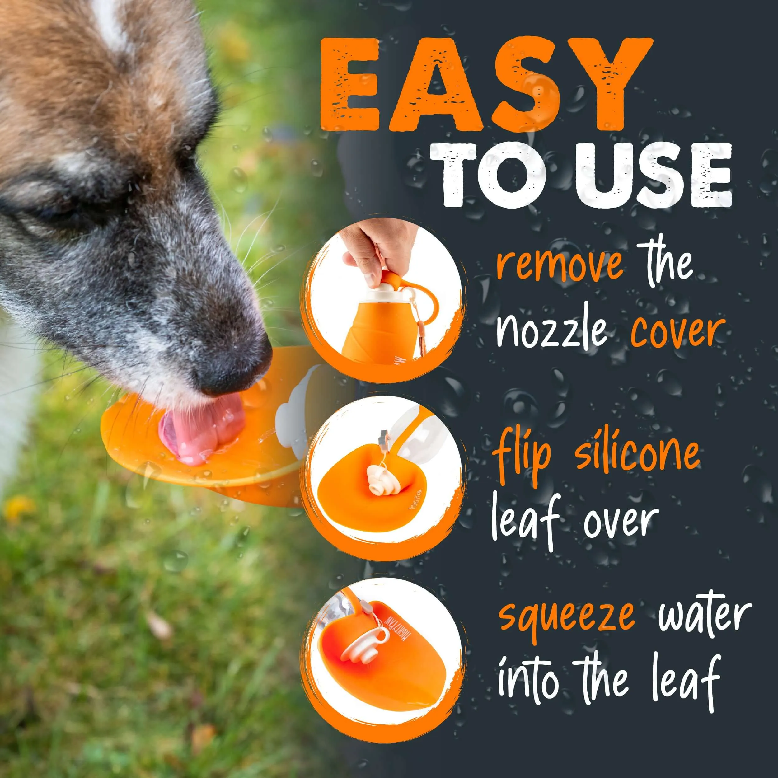 Keep Your Pup Hydrated on the Go with Mighty Paw Travel Dog Water Bottle