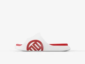 LUXIAOJUN"QI" Slides (Loog Edition)