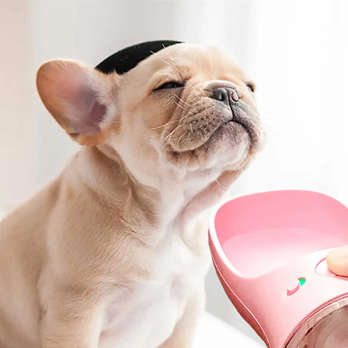 Portable Dog Water Bowl in Pink