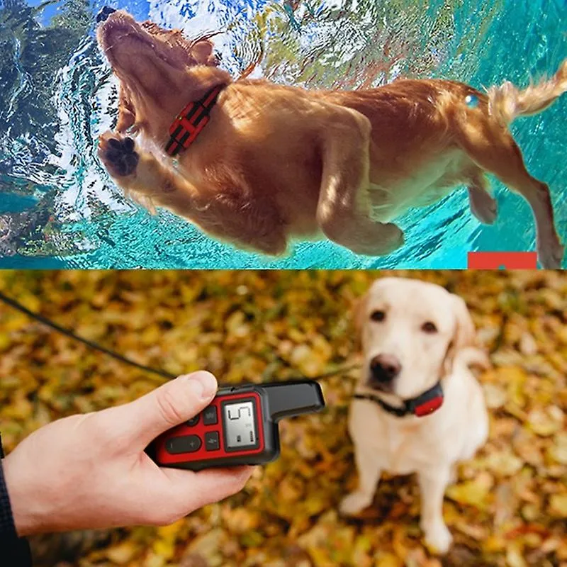 Red Waterproof Dog Training Collar Pet 500m Remote Control Rechargeable CAI41